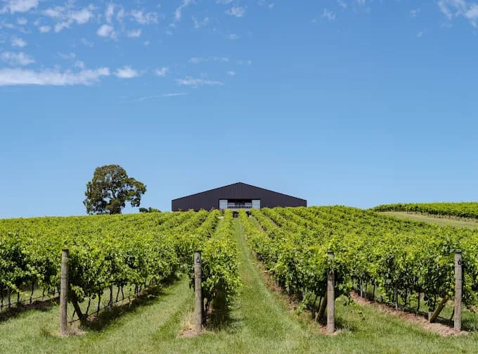 FIVE Vineyard venue